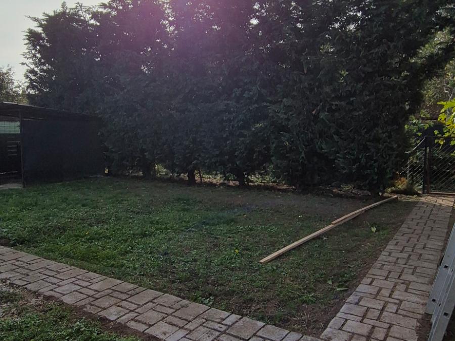 Frissen lenyírt kert térkő járdával, sövénnyel a háttérben